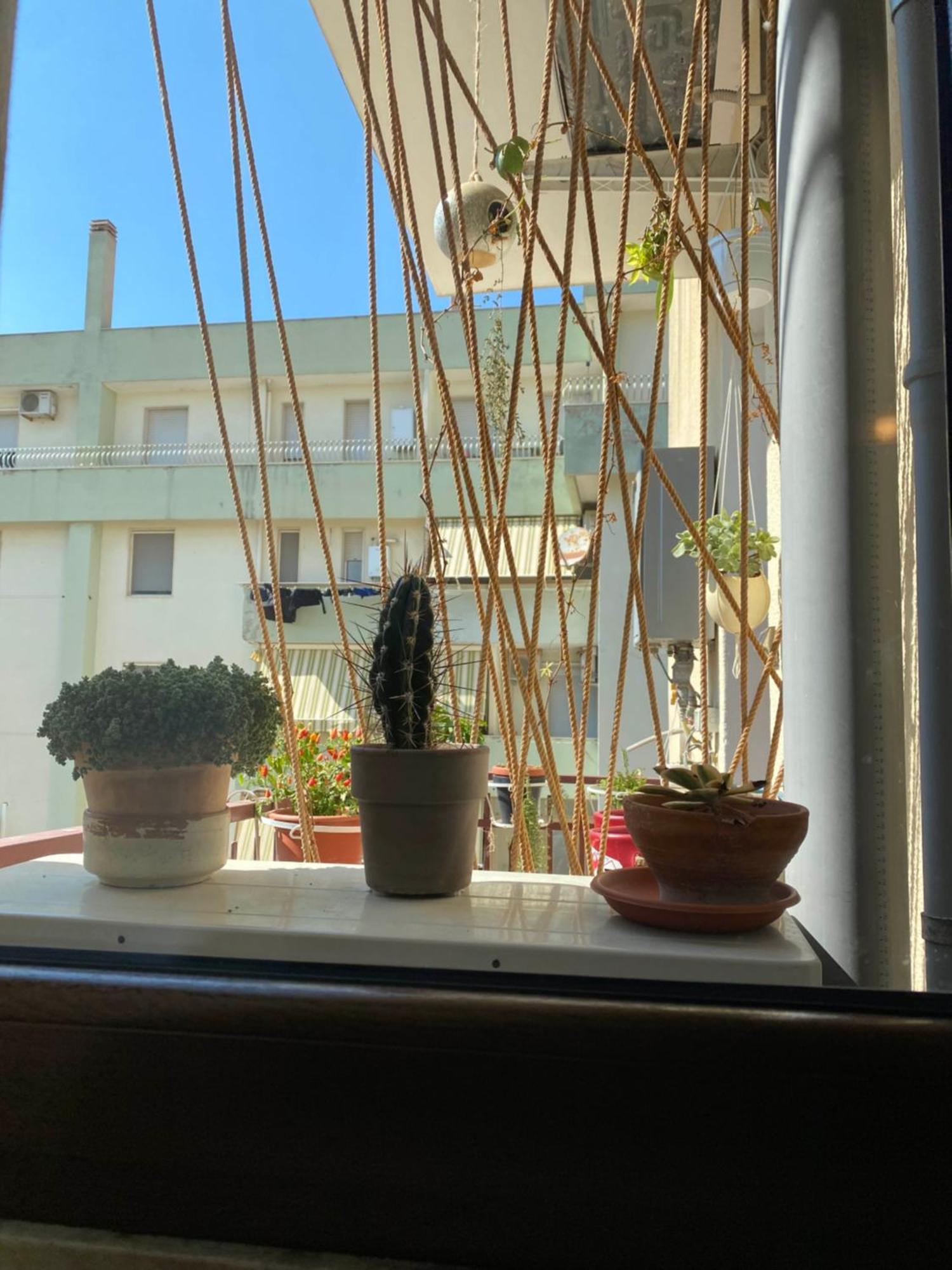 S'Accabbadora Guest House Alghero Bagian luar foto